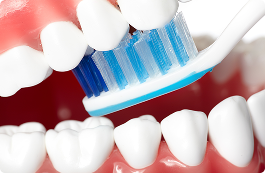 虫歯は感染することをご存じですか？